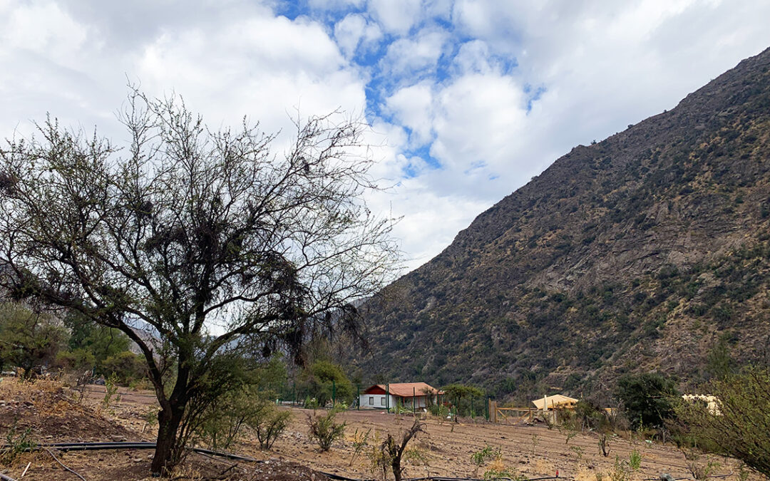 ¿PORQUE COMPRAR UN TERRENO EN LA COMUNIDAD ECOLOGICA PEUMAYEN UBICADA EN EL CAJON DEL MAIPO?