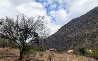 ¿PORQUE COMPRAR UN TERRENO EN LA COMUNIDAD ECOLOGICA PEUMAYEN UBICADA EN EL CAJON DEL MAIPO?