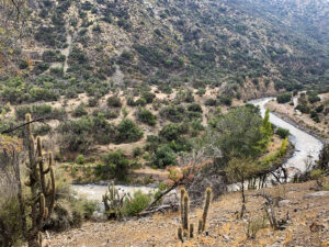 Cajón del Maipo