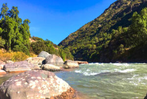 Guardián del bosque. Comuidad Ecológica Peumayen