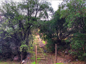 Cajón del Maipo, Comunidad Ecologica Peumayen