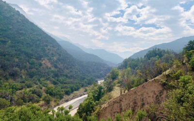 UNA GRAN DIVERSIDAD DE FLORA, FAUNA Y PAISAJES CORDILLERANOS PRESENTES EN NUESTRA COMUNIDAD ECOLOGICA PEUMAYEN