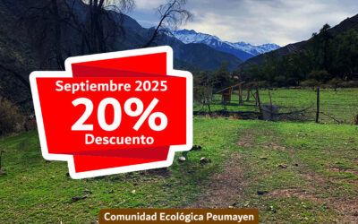 VENTA ESPECIAL MES DE SEPTIEMBRE, HASTA UN 20% DE DESCUENTO EN TODOS NUESTROS LOTES!!!